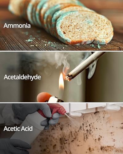 Coway AP-1512HH-FP AP-1512HH Replacement Filter , White 3 Count (Pack of 1)