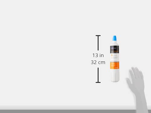 Insinkerator F-1000 Replacement Filter, 1-Pack