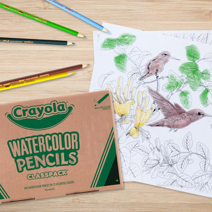 Crayola Watercolour Pencils Classpack, 240 Count