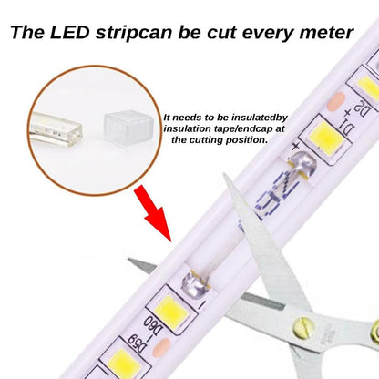pcningled Outdoor LED Strip Lights Waterproof 32.8FT AC 110V Flexible LED Rope Lights Cool White 6000K 120V Cuttable LED Lights SMD 5730 120LEDs/m for Bedroom Wall Kitchen Cabinets Home Decor