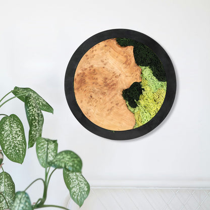 Natural Preserved Moss Wall Art - Natural moss&wood Handcrafted Rustic Charm for Your Home- Unique Wall Hanging for Living Room, Bedroom, Office, or Kitchen - No Maintenance