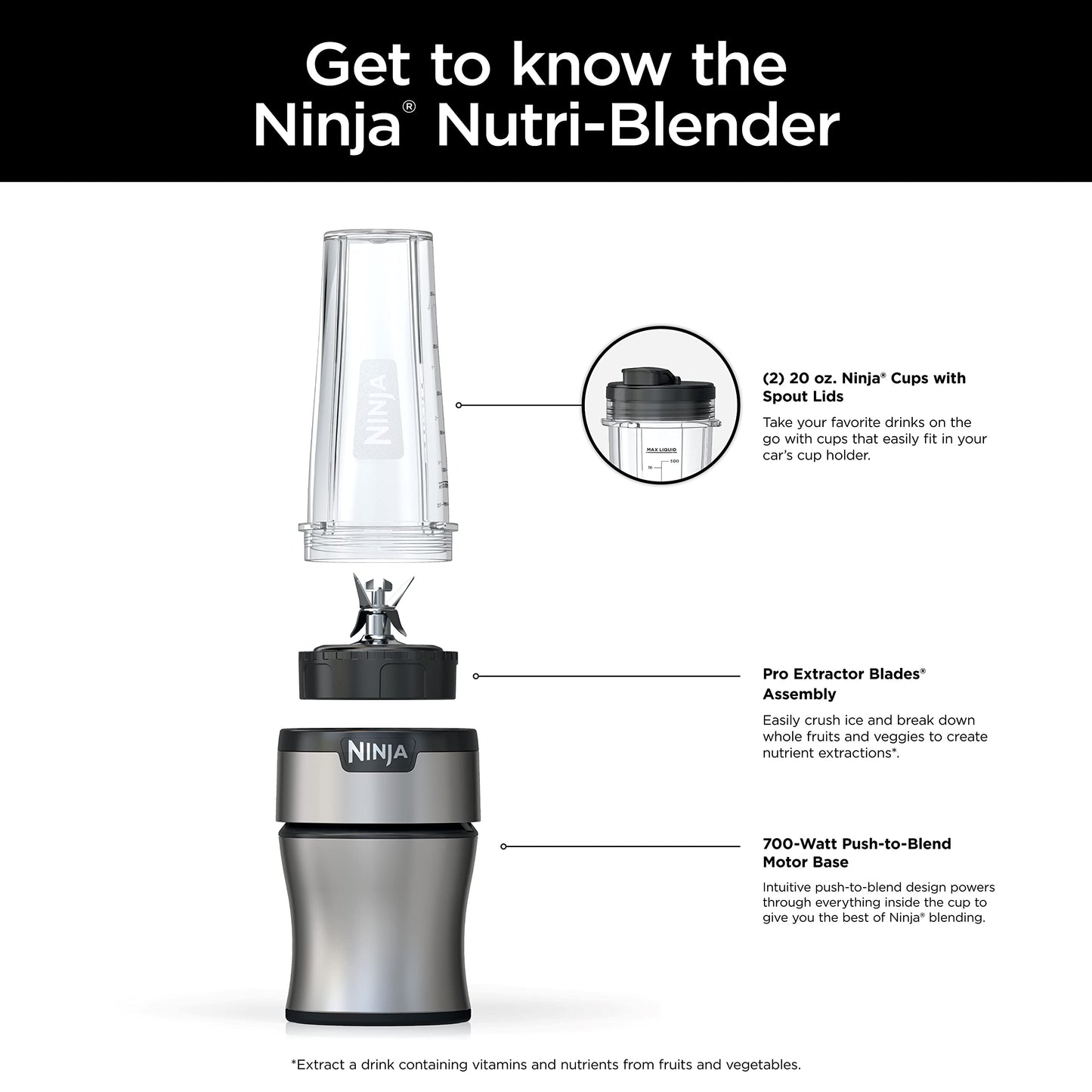 Ninja BN300C, Personal Nutri-Blender With Ice-Crushing Technology, Black/Silver, 700W