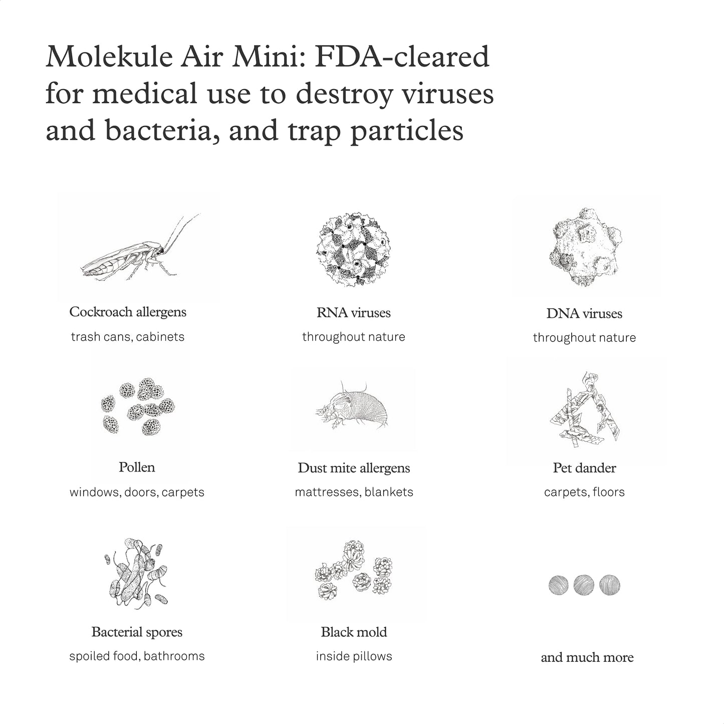 Molekule Air Mini & Air Mini+ – PECO-Filter