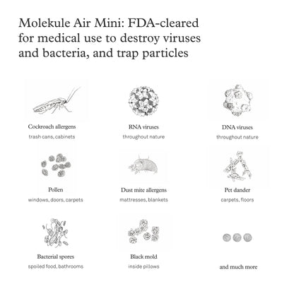 Molekule Air Mini & Air Mini+ – PECO-Filter