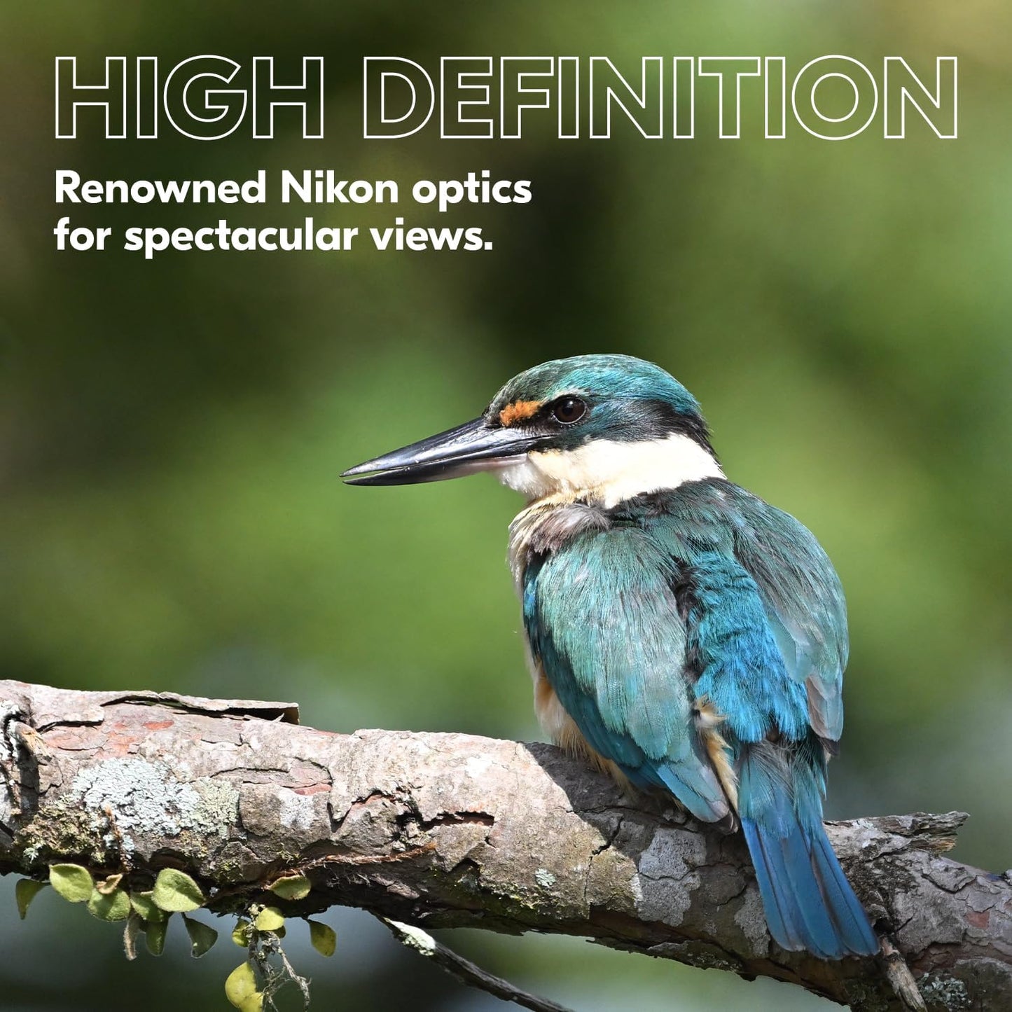 NIKON PROSTAFF P3 10x42