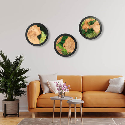 Natural Preserved Moss Wall Art - Natural moss&wood Handcrafted Rustic Charm for Your Home- Unique Wall Hanging for Living Room, Bedroom, Office, or Kitchen - No Maintenance