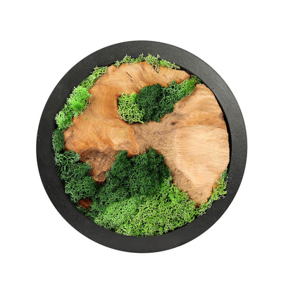 Natural Preserved Moss Wall Art - Natural moss&wood Handcrafted Rustic Charm for Your Home- Unique Wall Hanging for Living Room, Bedroom, Office, or Kitchen - No Maintenance