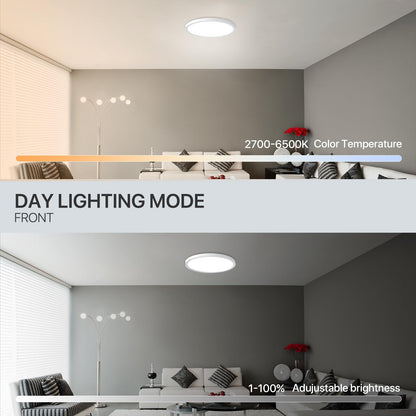MELEGAN 2Pcs RGB Smart Ceiling Light, Super Slim LED Flush Mount Ceiling, WiFi Compatible with Alexa Google Home,12Inch 24W Dimmable 2700K-6500K for Bedroom, Kitchen, Dining Room, Basements
