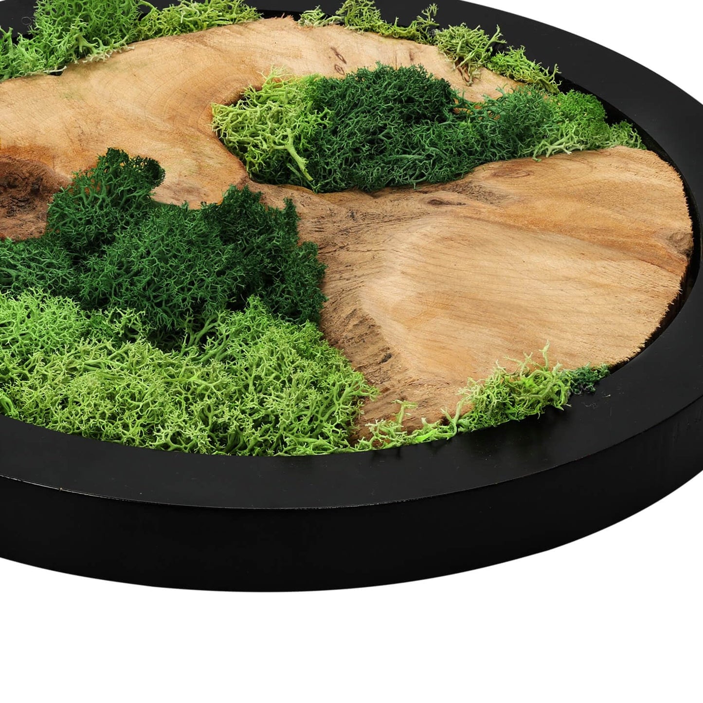 Natural Preserved Moss Wall Art - Natural moss&wood Handcrafted Rustic Charm for Your Home- Unique Wall Hanging for Living Room, Bedroom, Office, or Kitchen - No Maintenance