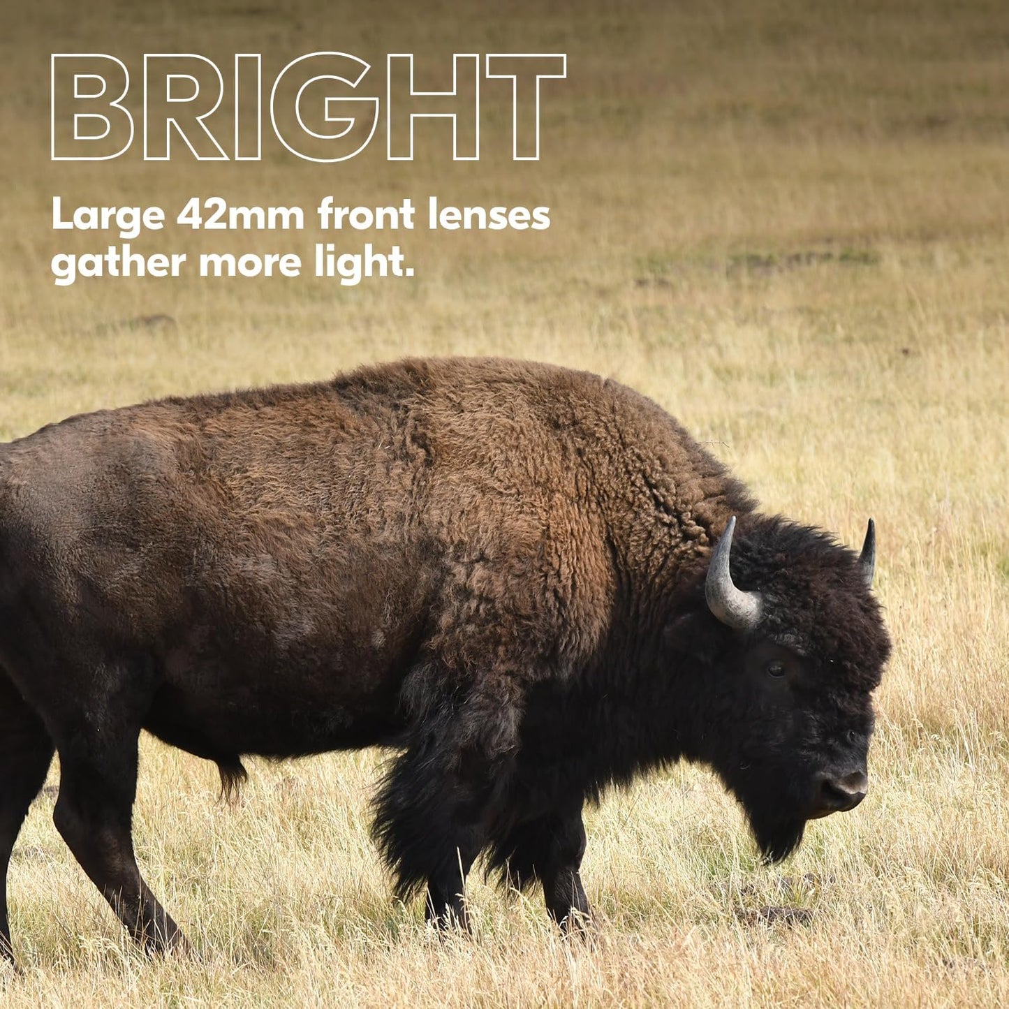 NIKON PROSTAFF P3 8x42