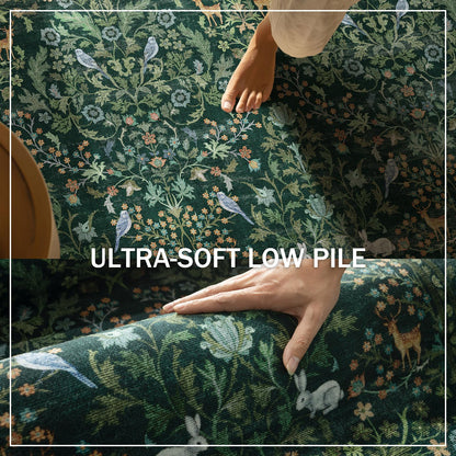 Washable Area Rugs for Living Room: 5x7 Rug Stain Resistant Non Slip Low Pile Lightweight Soft Carpets Rugs for Bedroom Kitchen Dining Room Nursery Kids Room Farmhouse Home Office Indoor